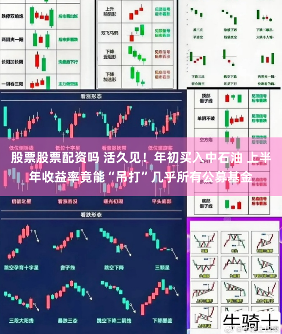 股票股票配资吗 活久见！年初买入中石油 上半年收益率竟能“吊打”几乎所有公募基金