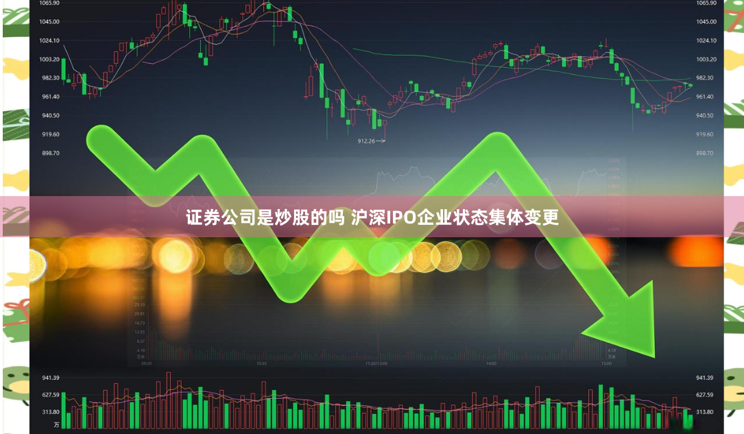 证券公司是炒股的吗 沪深IPO企业状态集体变更