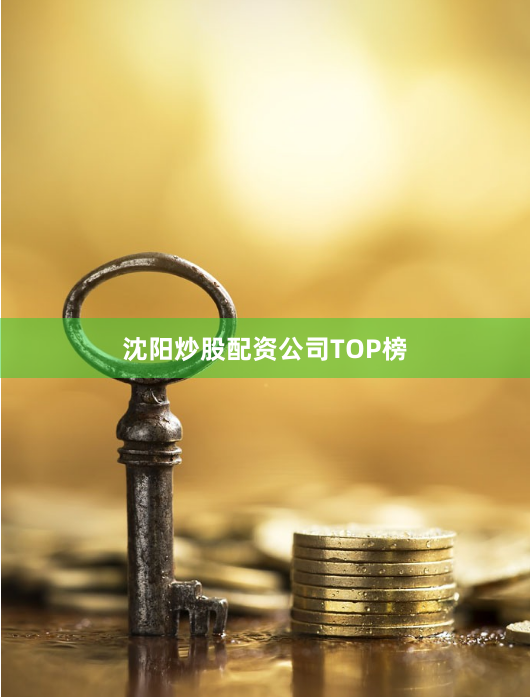 沈阳炒股配资公司TOP榜
